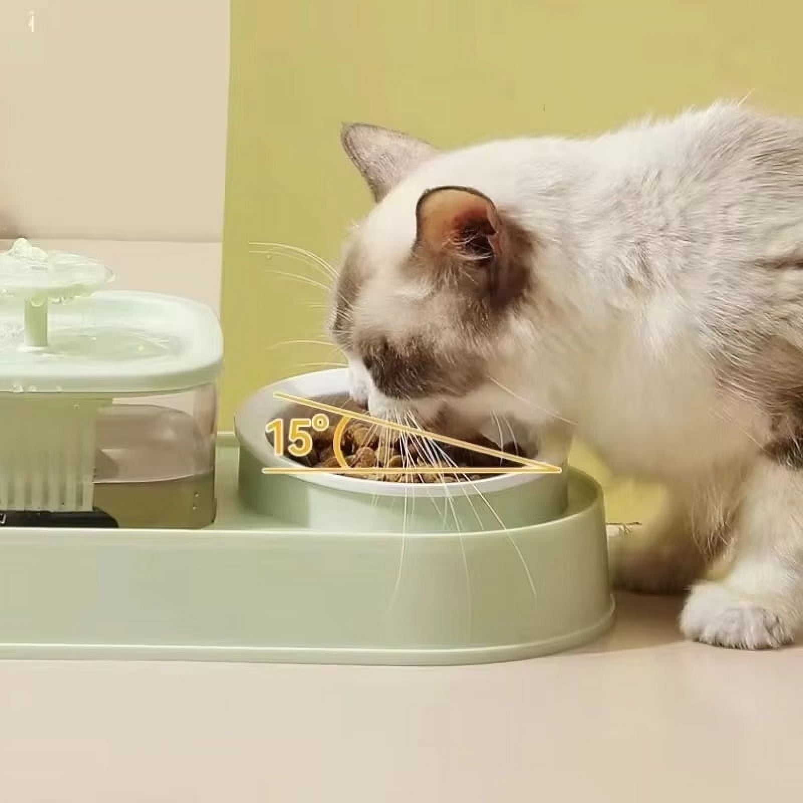2-In-1 Recirculating Cat Water Fountain & Feeder

