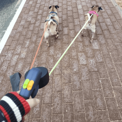 
DualDoggo 360° No-Tangle Leash